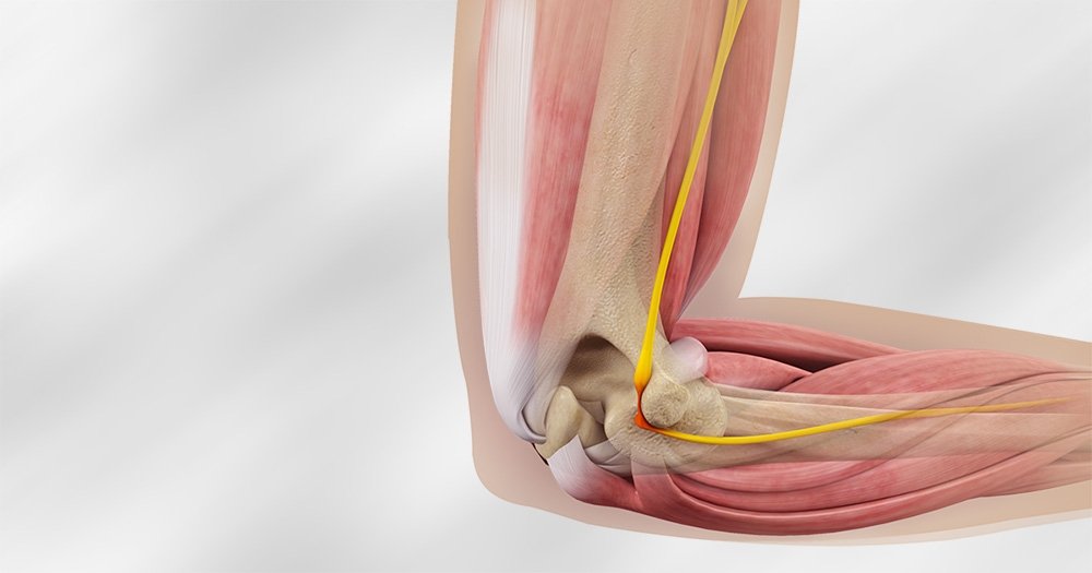 Anatomia do túnel cubital